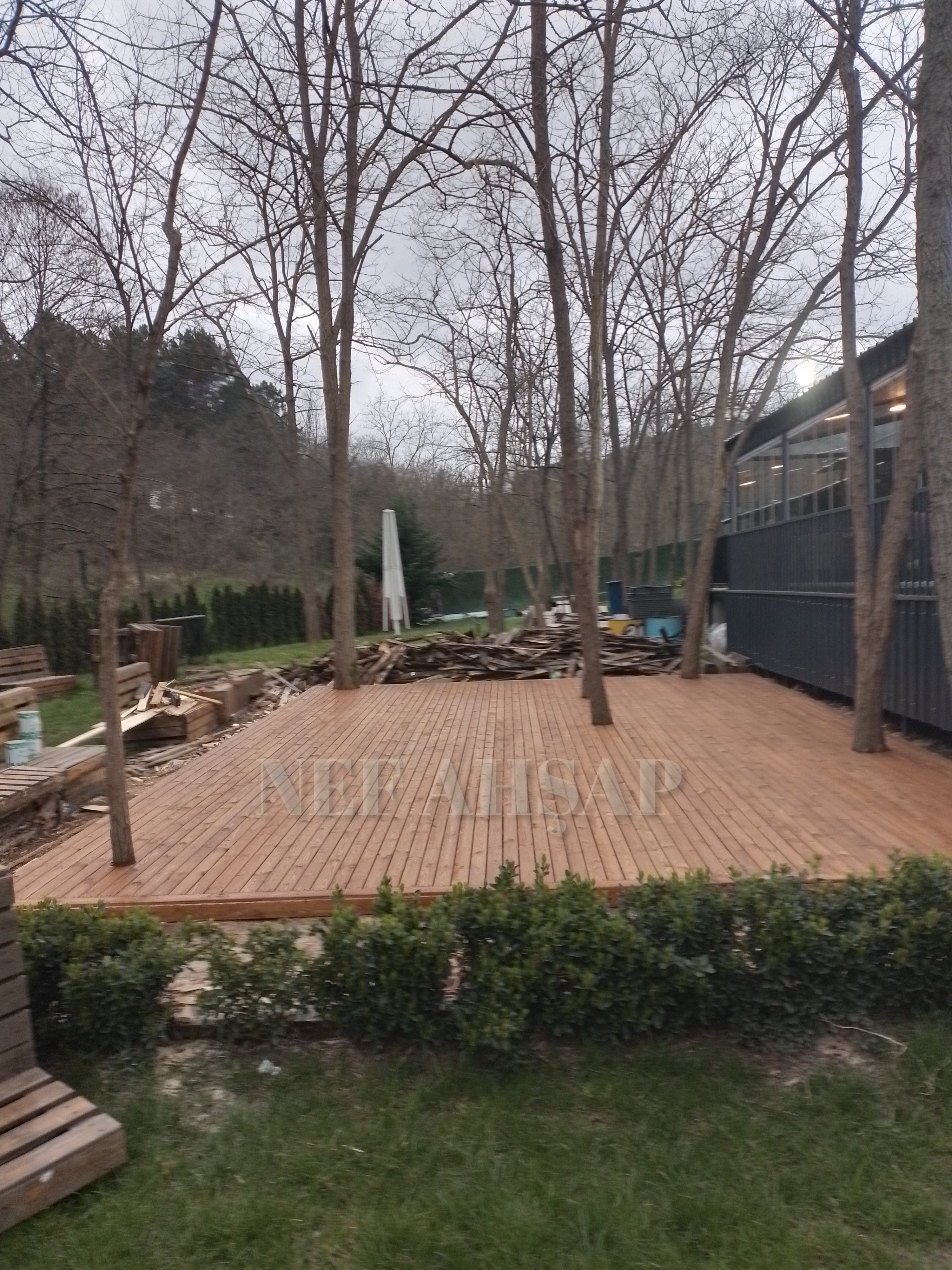 Çam ağacı deck